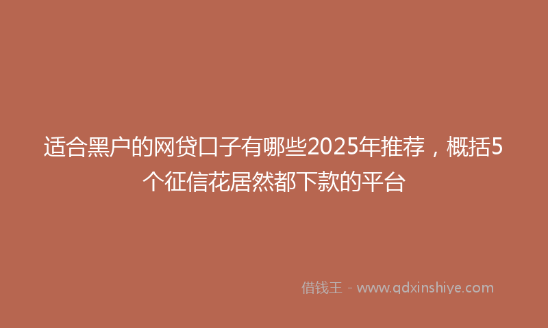 适合黑户的网贷口子有哪些2025年推荐，概括5个征信花居然都下款的平台