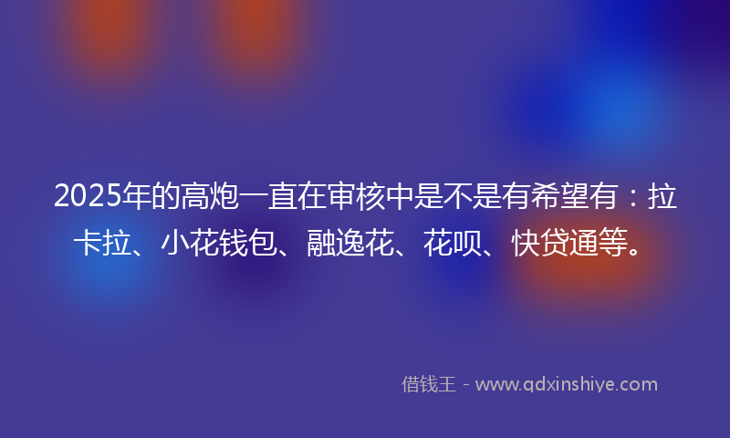 2025年的高炮一直在审核中是不是有希望有：拉卡拉、小花钱包、融逸花、花呗、快贷通等。