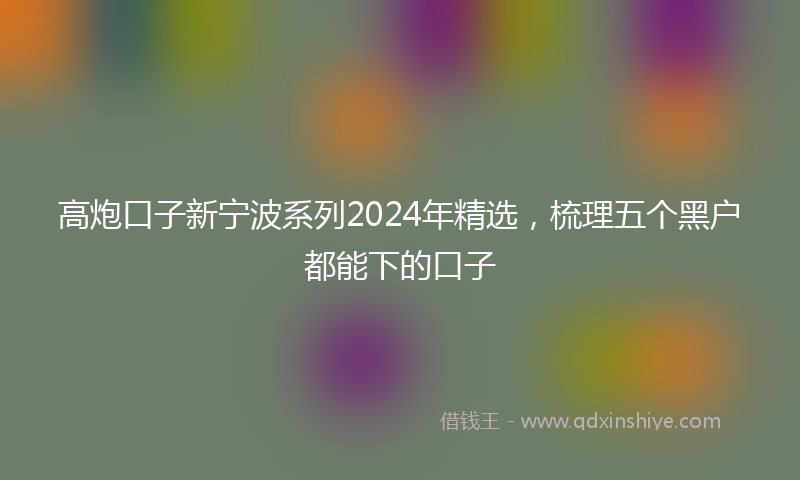 高炮口子新宁波系列2024年精选，梳理五个黑户都能下的口子