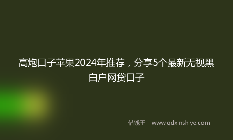 高炮口子苹果2024年推荐，分享5个最新无视黑白户网贷口子