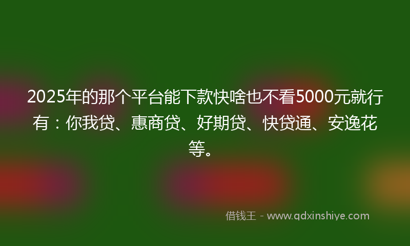 2025年的那个平台能下款快啥也不看5000元就行有：你我贷、惠商贷、好期贷、快贷通、安逸花等。