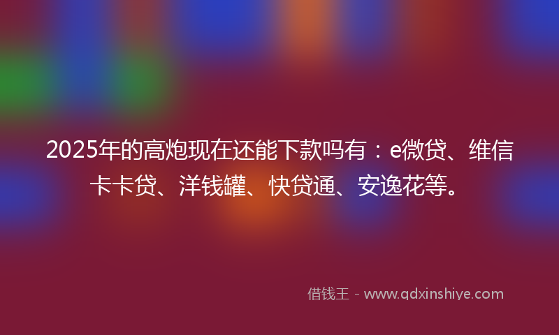 2025年的高炮现在还能下款吗有：e微贷、维信卡卡贷、洋钱罐、快贷通、安逸花等。
