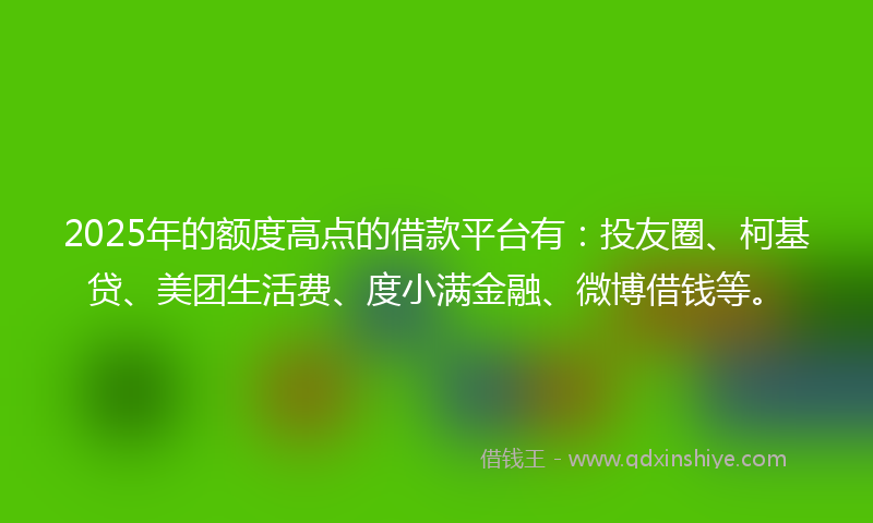 2025年的额度高点的借款平台有：投友圈、柯基贷、美团生活费、度小满金融、微博借钱等。
