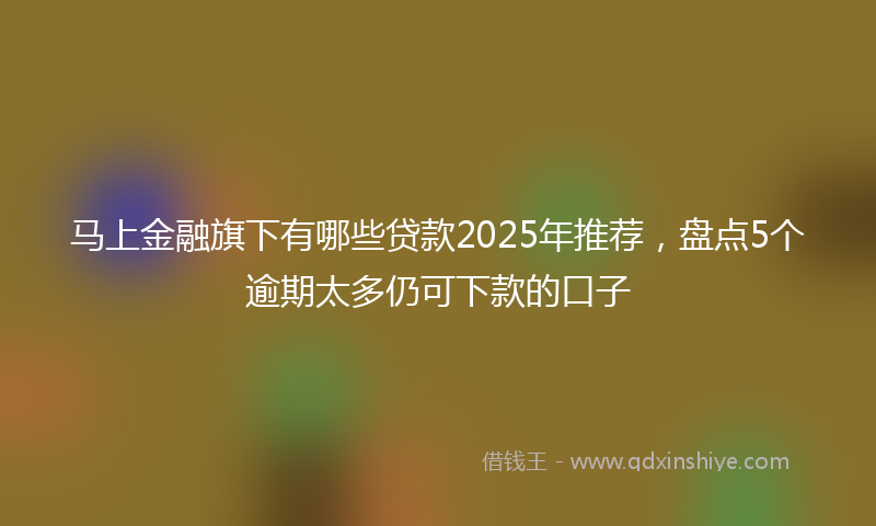 马上金融旗下有哪些贷款2025年推荐，盘点5个逾期太多仍可下款的口子