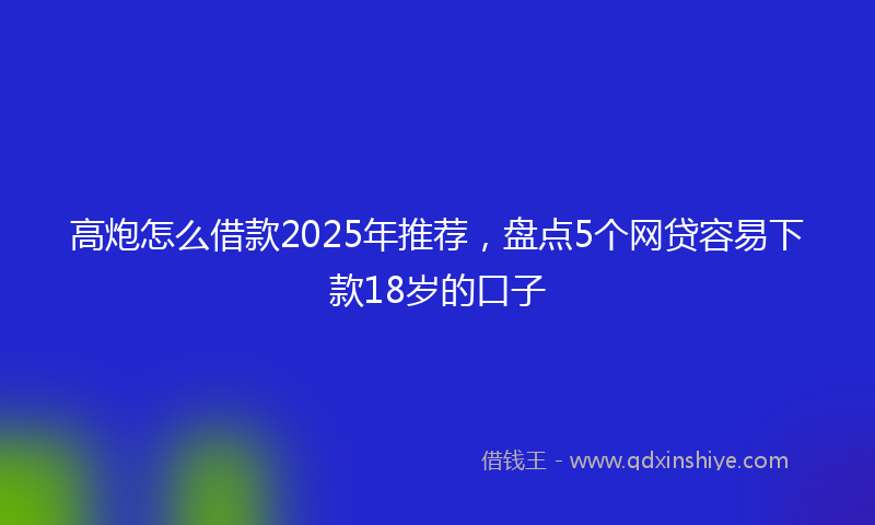 高炮怎么借款2025年推荐，盘点5个网贷容易下款18岁的口子