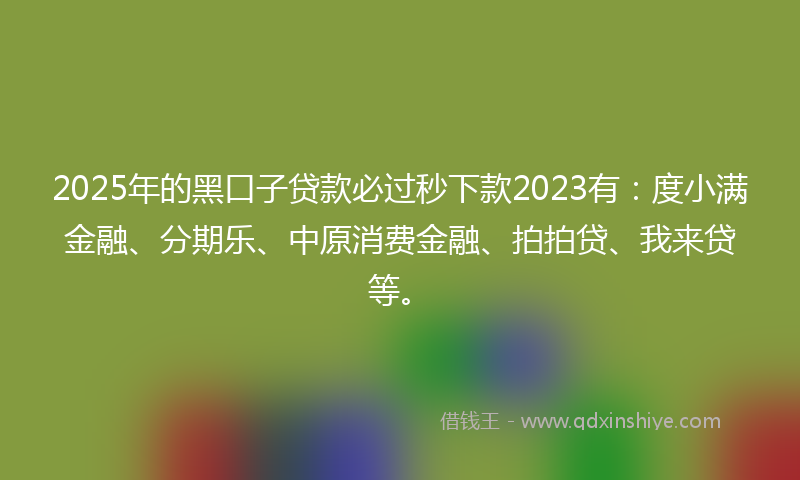 2025年的黑口子贷款必过秒下款2023有：度小满金融、分期乐、中原消费金融、拍拍贷、我来贷等。