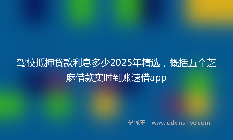 驾校抵押贷款利息多少2025年精选，概括五个芝麻借款实时到账速借app
