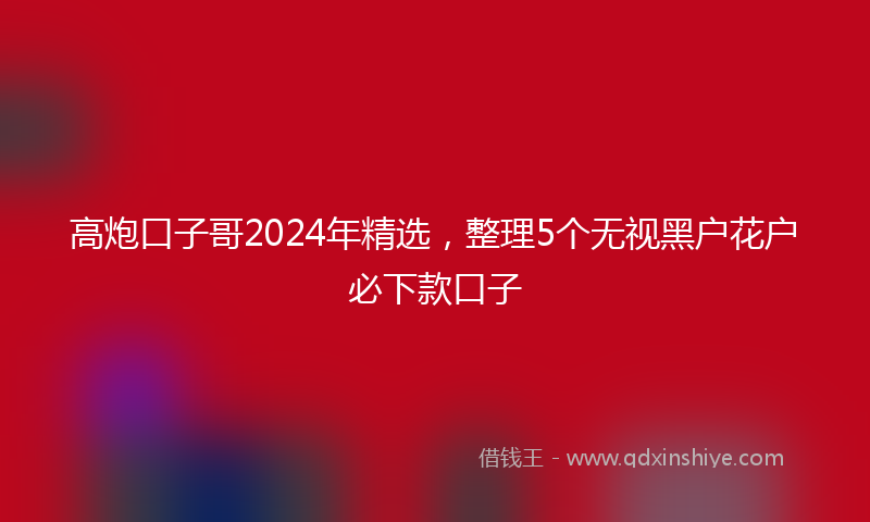 高炮口子哥2024年精选，整理5个无视黑户花户必下款口子