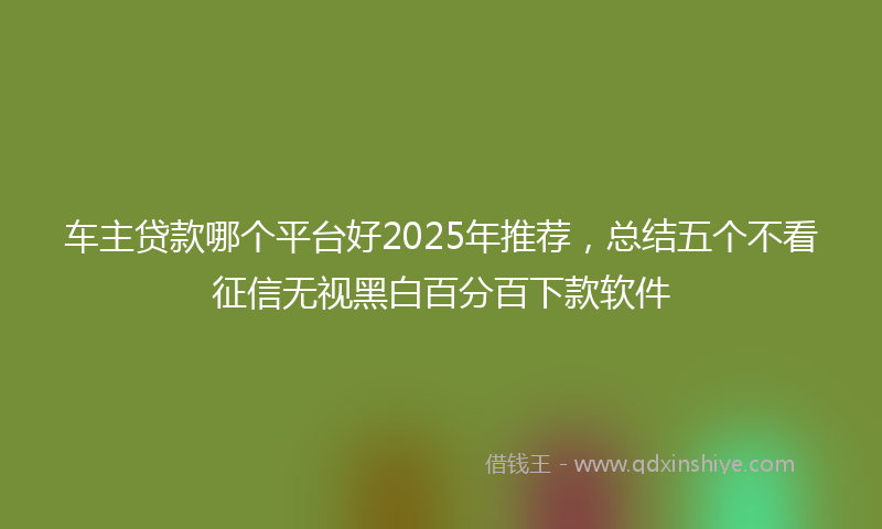 车主贷款哪个平台好2025年推荐，总结五个不看征信无视黑白百分百下款软件