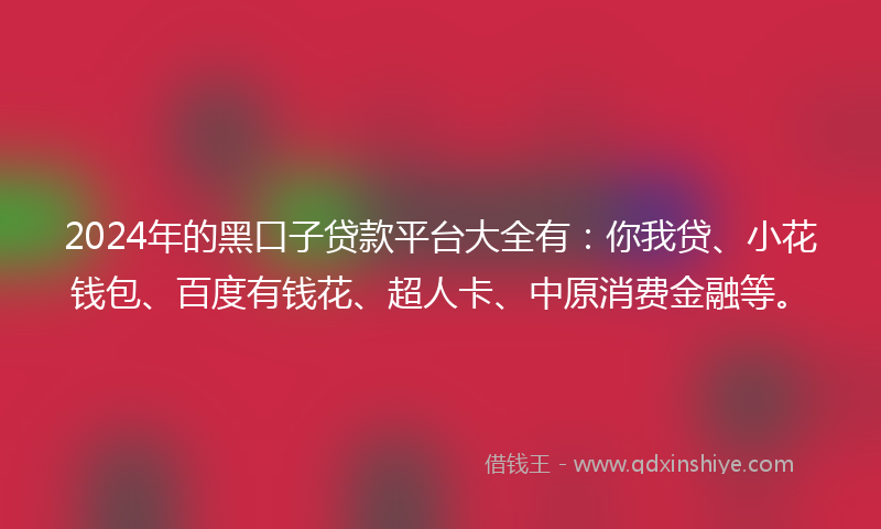 2024年的黑口子贷款平台大全有：你我贷、小花钱包、百度有钱花、超人卡、中原消费金融等。
