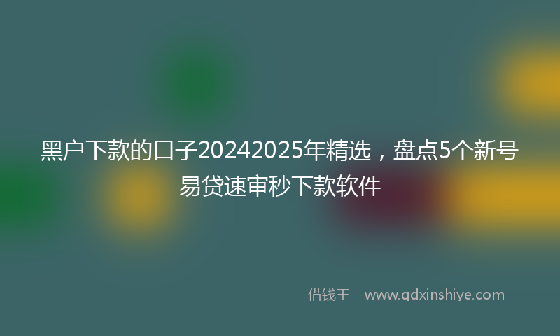 黑户下款的口子20242025年精选，盘点5个新号易贷速审秒下款软件
