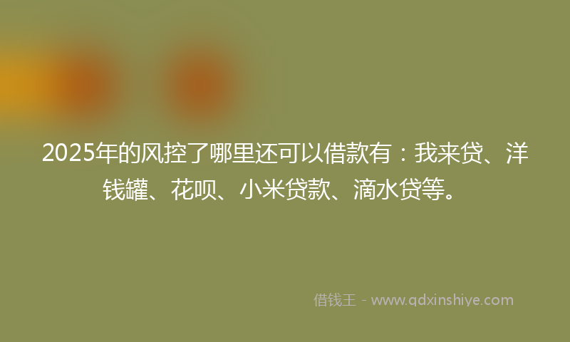 2025年的风控了哪里还可以借款有：我来贷、洋钱罐、花呗、小米贷款、滴水贷等。