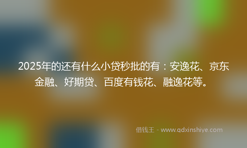 2025年的还有什么小贷秒批的有：安逸花、京东金融、好期贷、百度有钱花、融逸花等。