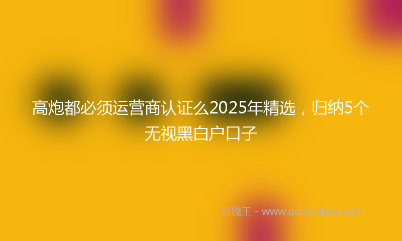 高炮都必须运营商认证么2025年精选，归纳5个无视黑白户口子