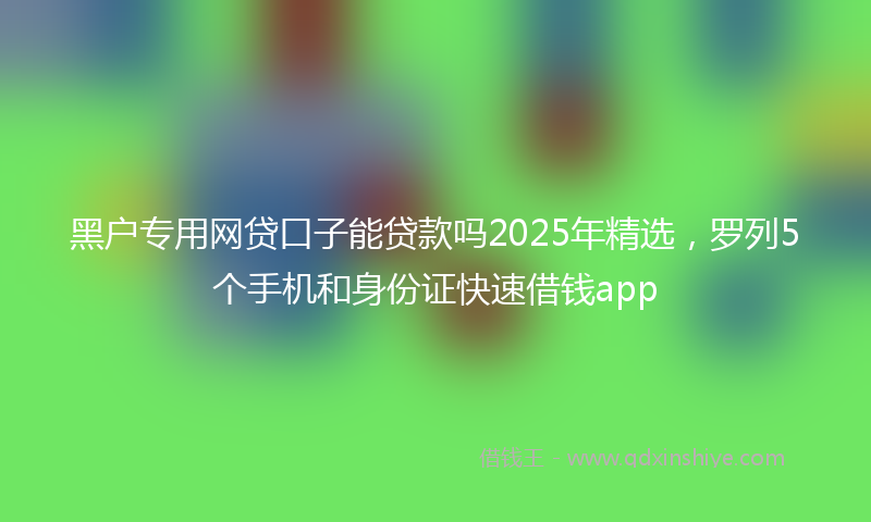 黑户专用网贷口子能贷款吗2025年精选，罗列5个手机和身份证快速借钱app