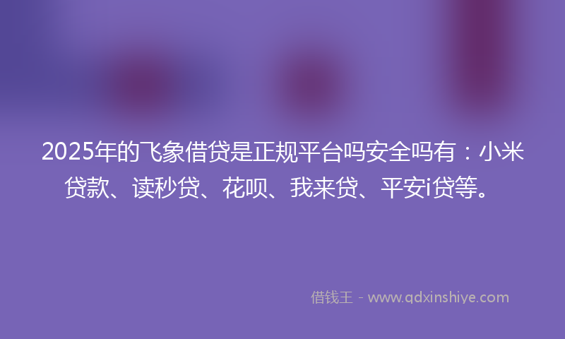 2025年的飞象借贷是正规平台吗安全吗有：小米贷款、读秒贷、花呗、我来贷、平安i贷等。