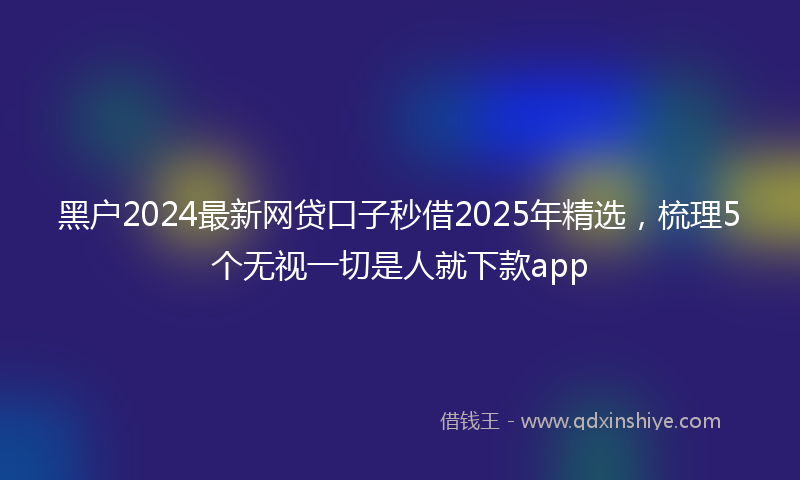 黑户2024最新网贷口子秒借2025年精选，梳理5个无视一切是人就下款app