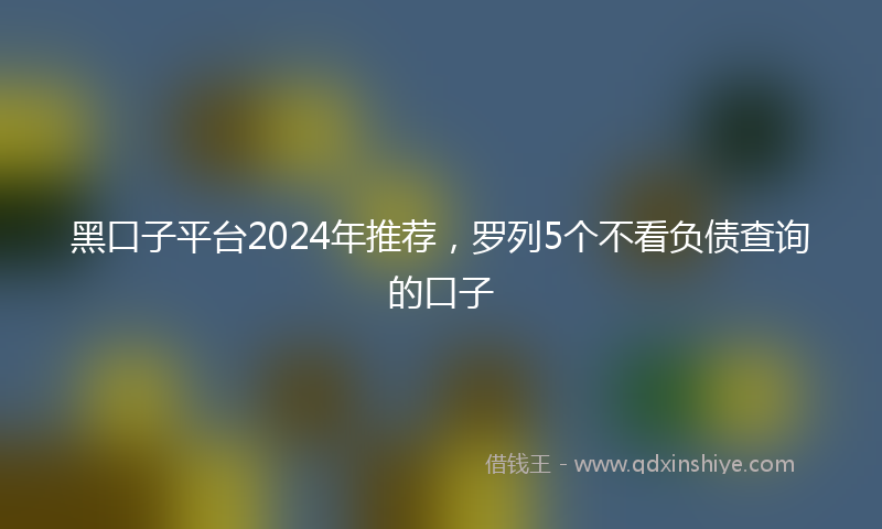 黑口子平台2024年推荐，罗列5个不看负债查询的口子