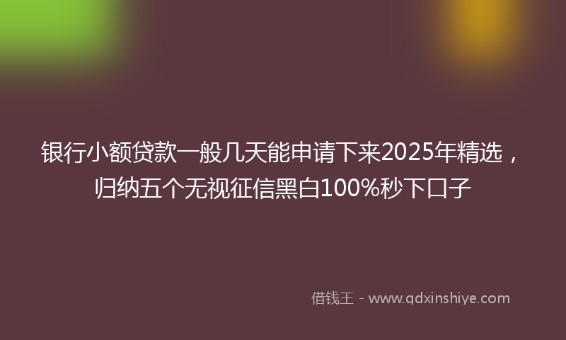 银行小额贷款一般几天能申请下来2025年精选，归纳五个无视征信黑白100%秒下口子