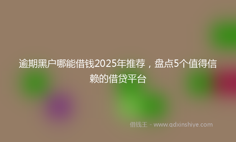 逾期黑户哪能借钱2025年推荐，盘点5个值得信赖的借贷平台