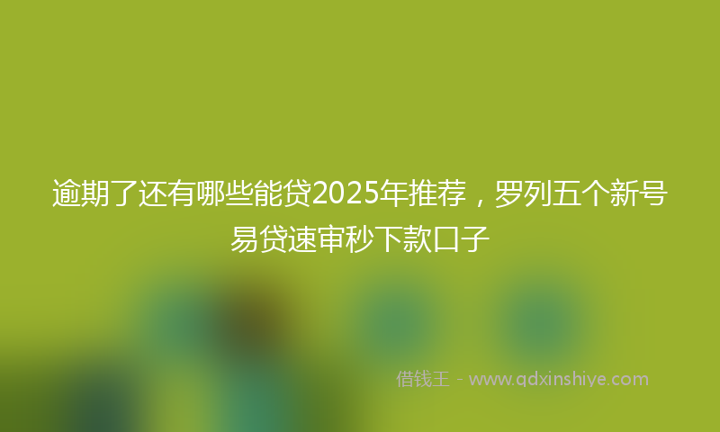 逾期了还有哪些能贷2025年推荐，罗列五个新号易贷速审秒下款口子
