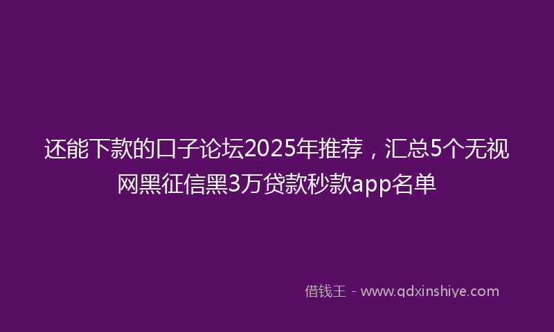 还能下款的口子论坛2025年推荐，汇总5个无视网黑征信黑3万贷款秒款app名单