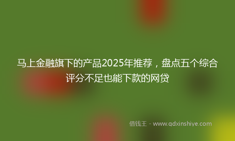 马上金融旗下的产品2025年推荐，盘点五个综合评分不足也能下款的网贷