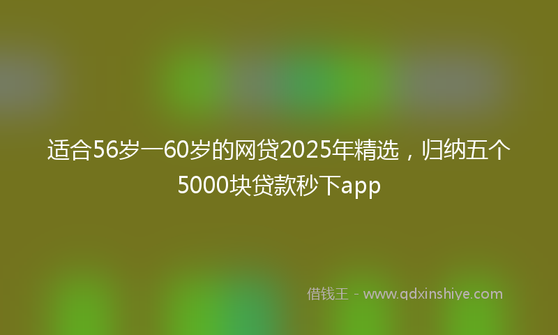 适合56岁一60岁的网贷2025年精选，归纳五个5000块贷款秒下app