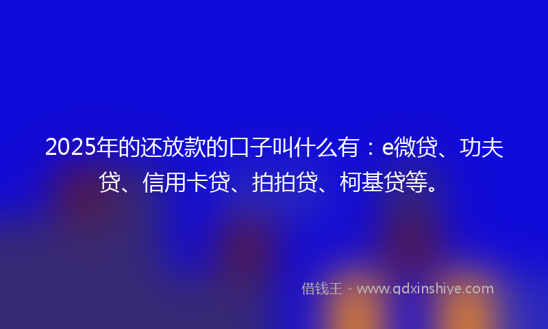 2025年的还放款的口子叫什么有：e微贷、功夫贷、信用卡贷、拍拍贷、柯基贷等。
