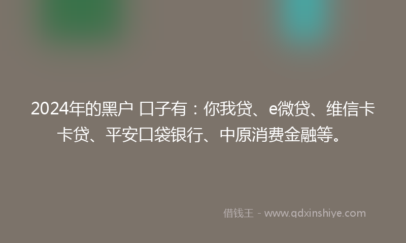 2024年的黑户 口子有：你我贷、e微贷、维信卡卡贷、平安口袋银行、中原消费金融等。