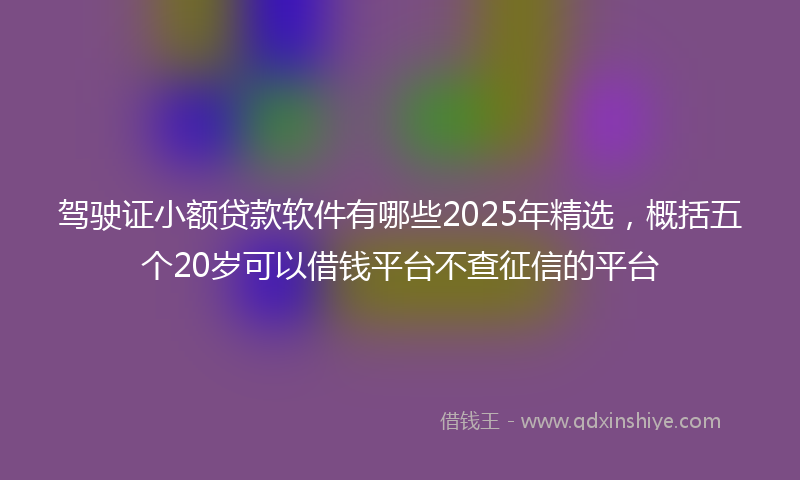 驾驶证小额贷款软件有哪些2025年精选，概括五个20岁可以借钱平台不查征信的平台