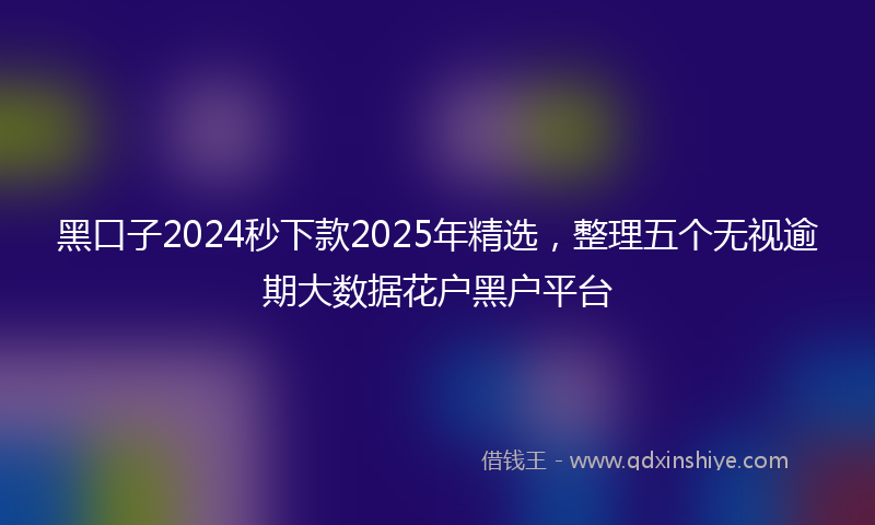 黑口子2024秒下款2025年精选，整理五个无视逾期大数据花户黑户平台