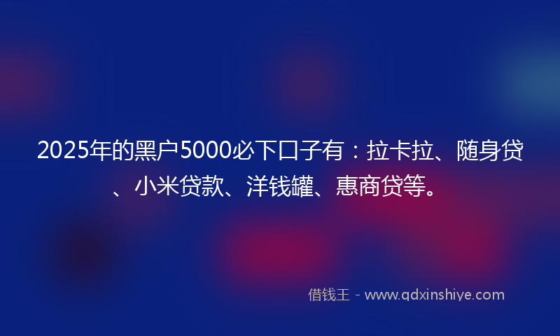 2025年的黑户5000必下口子有：拉卡拉、随身贷、小米贷款、洋钱罐、惠商贷等。