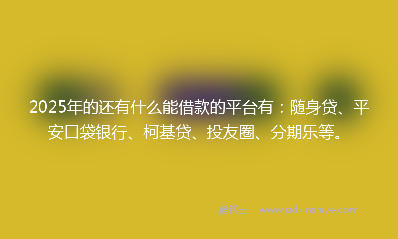 2025年的还有什么能借款的平台有：随身贷、平安口袋银行、柯基贷、投友圈、分期乐等。