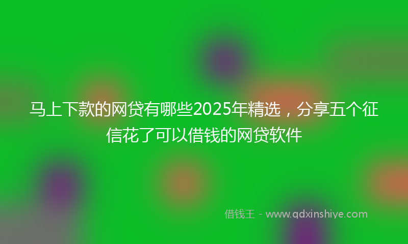 马上下款的网贷有哪些2025年精选，分享五个征信花了可以借钱的网贷软件