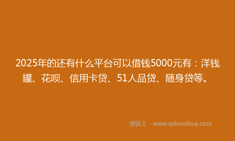 2025年的还有什么平台可以借钱5000元有：洋钱罐、花呗、信用卡贷、51人品贷、随身贷等。