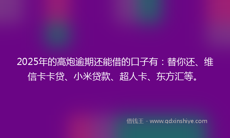 2025年的高炮逾期还能借的口子有：替你还、维信卡卡贷、小米贷款、超人卡、东方汇等。