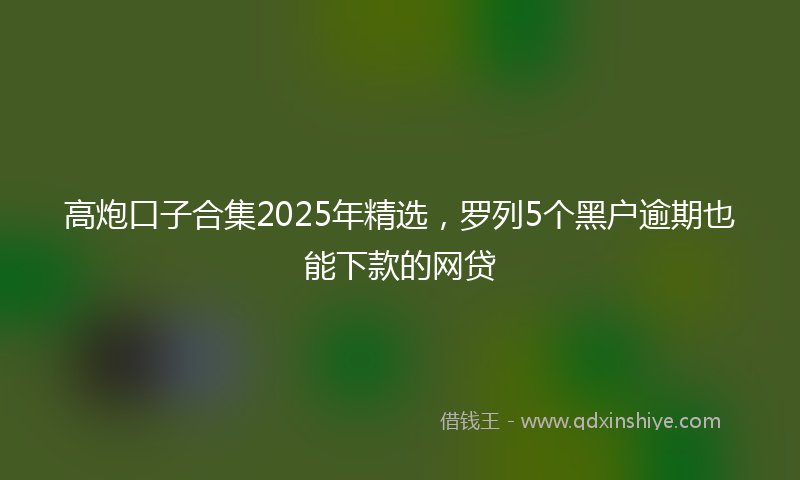 高炮口子合集2025年精选，罗列5个黑户逾期也能下款的网贷