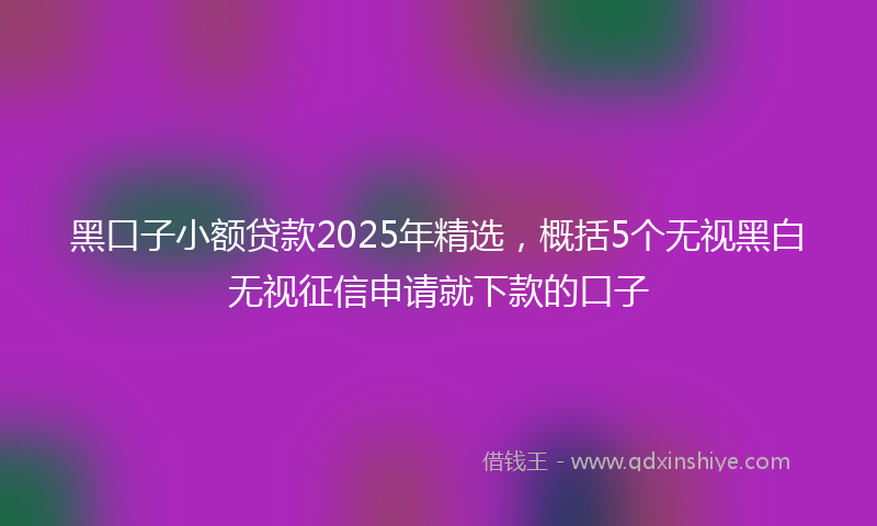 黑口子小额贷款2025年精选，概括5个无视黑白无视征信申请就下款的口子