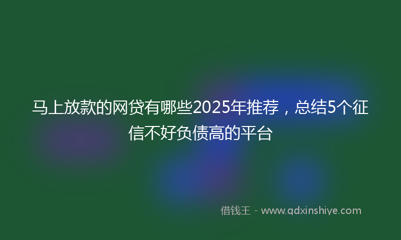 马上放款的网贷有哪些2025年推荐，总结5个征信不好负债高的平台