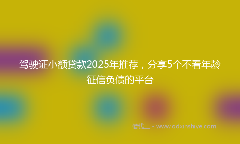 驾驶证小额贷款2025年推荐，分享5个不看年龄征信负债的平台