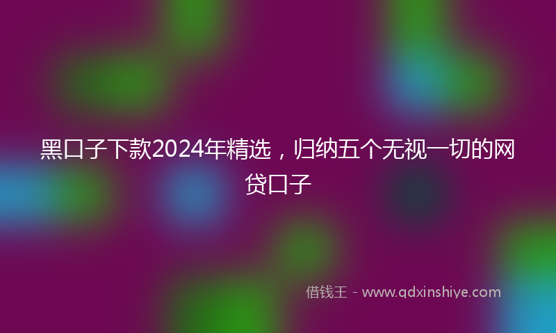 黑口子下款2024年精选，归纳五个无视一切的网贷口子