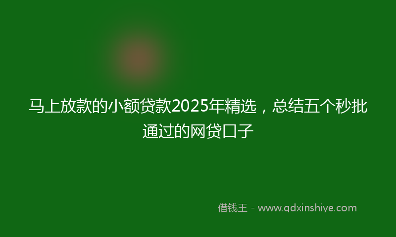 马上放款的小额贷款2025年精选，总结五个秒批通过的网贷口子