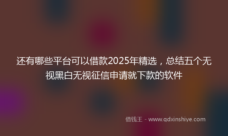 还有哪些平台可以借款2025年精选，总结五个无视黑白无视征信申请就下款的软件