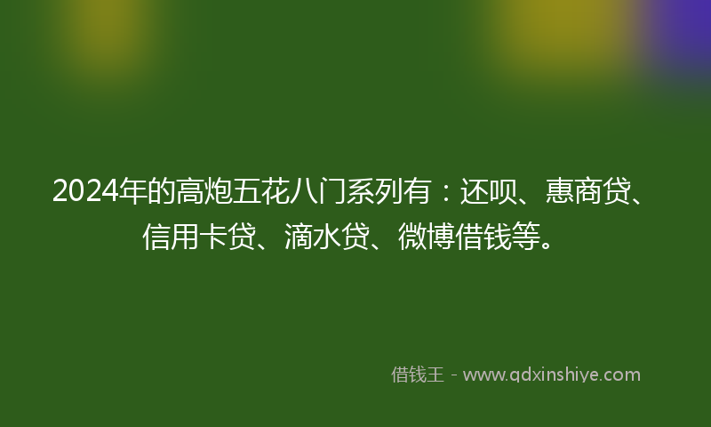 2024年的高炮五花八门系列有:还呗、惠商贷、信用卡贷、滴水贷、微博借钱等。