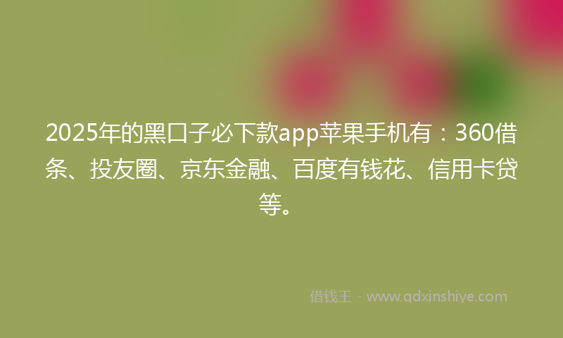 2025年的黑口子必下款app苹果手机有：360借条、投友圈、京东金融、百度有钱花、信用卡贷等。