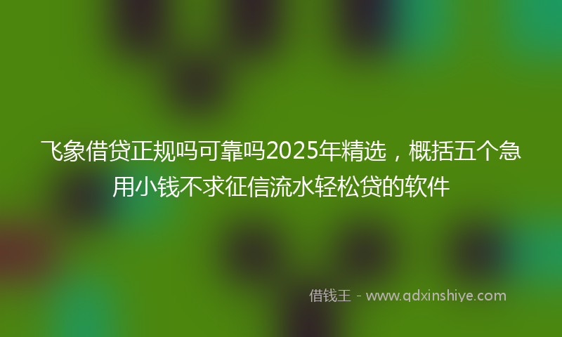 飞象借贷正规吗可靠吗2025年精选，概括五个急用小钱不求征信流水轻松贷的软件