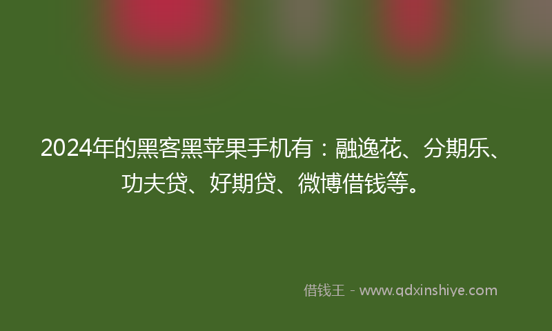 2024年的黑客黑苹果手机有：融逸花、分期乐、功夫贷、好期贷、微博借钱等。