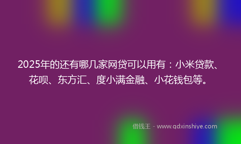 2025年的还有哪几家网贷可以用有：小米贷款、花呗、东方汇、度小满金融、小花钱包等。