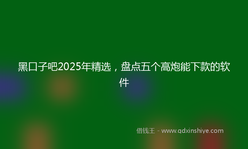 黑口子吧2025年精选，盘点五个高炮能下款的软件